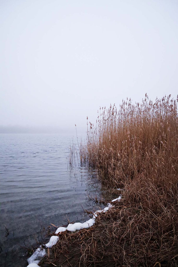 See am Neujahrsmorgen- Prints, Poster, Naturfotografie von Malina Bura