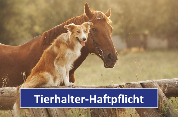 Tierhalter-Haftpflicht