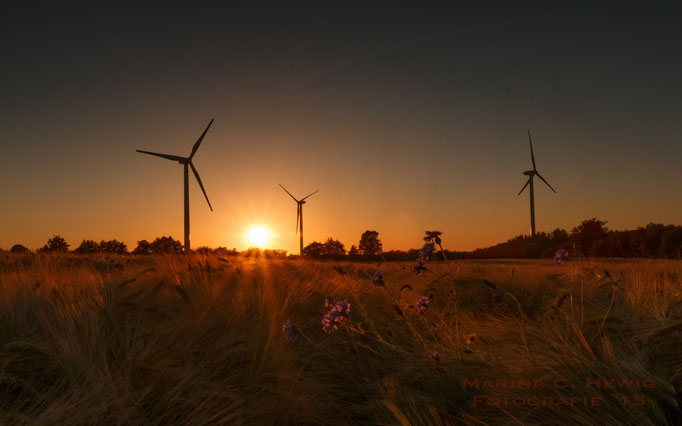 Sommersonnenuntergang