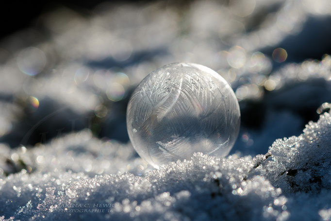 Eisblume