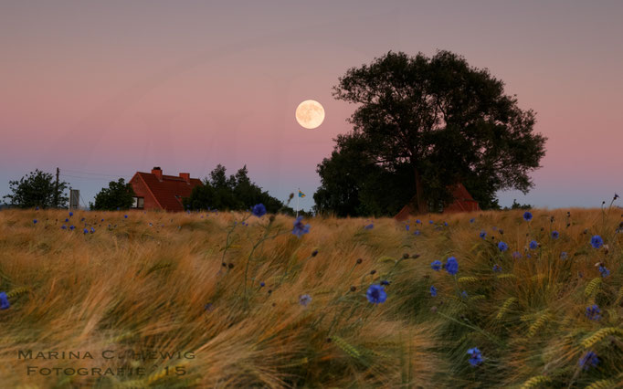 Mond