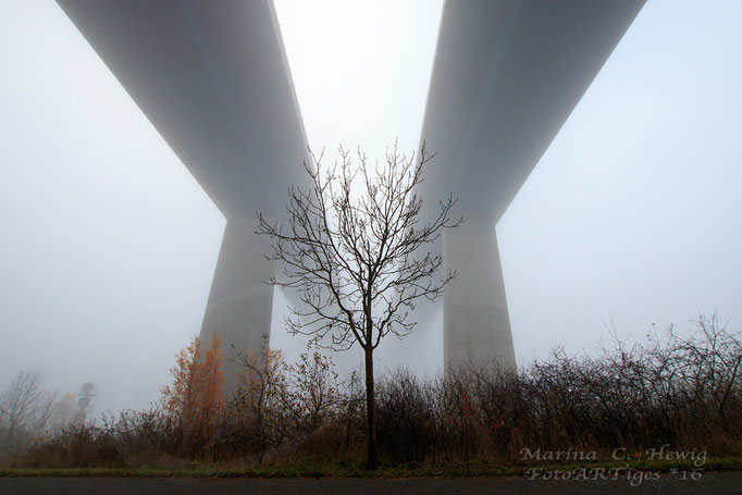 Holtenauer Hochbrücke