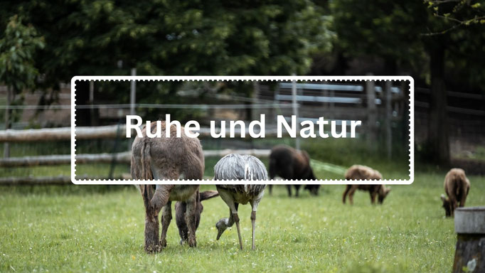 Ein kleines Paradies das zum Durchatmen und Abschalten einlädt.