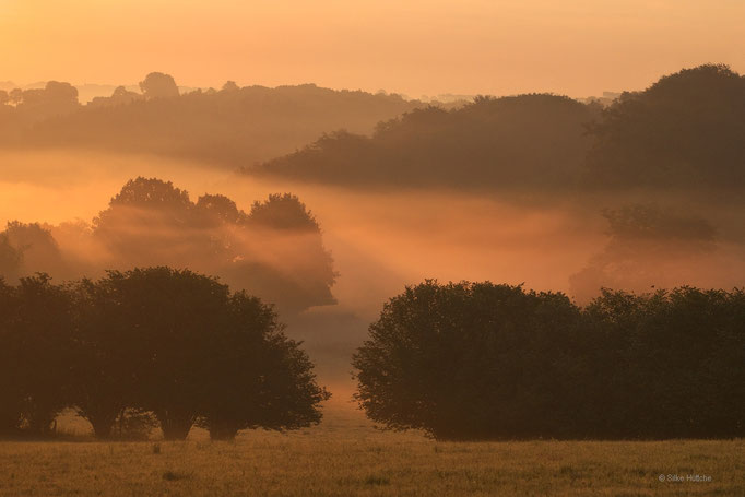 Sonnenaufgang im Bergischen Land