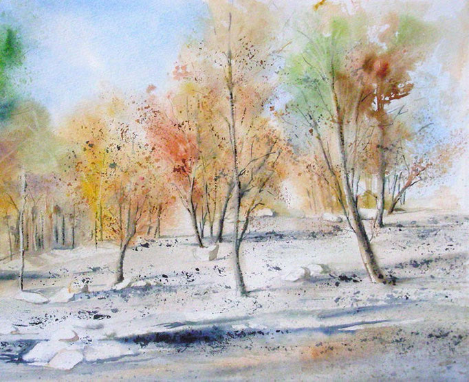 La pinède après l'incendie - n°1 - 36X38 *(2010)
