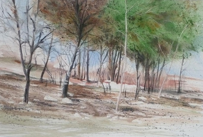 Les trois frères - n°16 - 37x54 collection privée(2011)