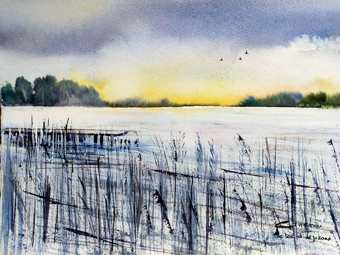 Le lac d'Arjuzanx 'Landes)35x54 (2023)*
