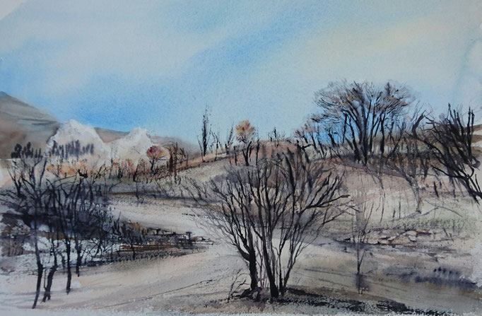 Après l'incendie à Tuchan n°24* 35x54 (2016)