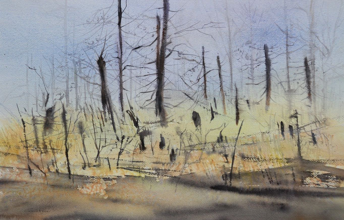 Après l'incendie n°21, lumière dorée * (2016)