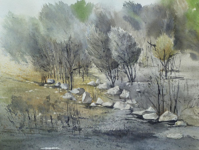 La pinède après l'incendie - n°18 - 34x40 * (2012)
