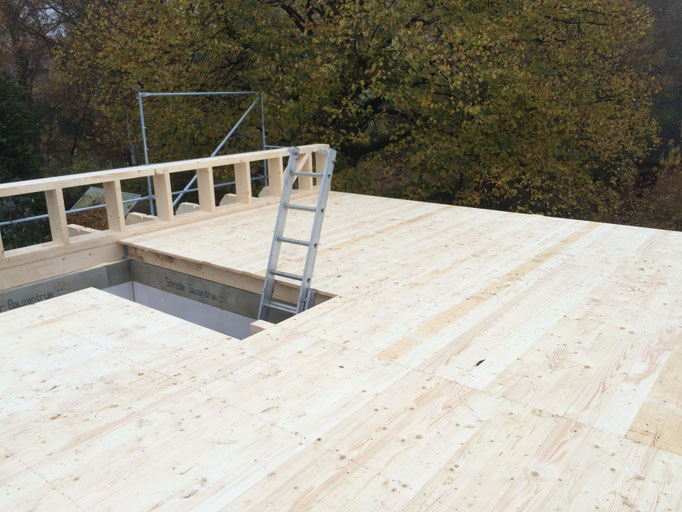 Der Dachstuhl - Die 5. Woche - jenny-baut-ein-hauss Webseite!