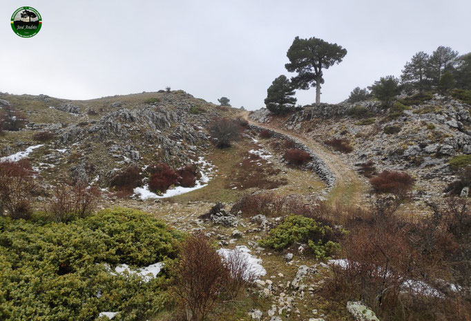 Camino Cueva Paria - Cañada Rincón