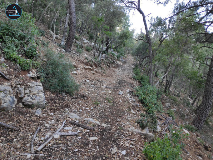 Viejo camino cerro de la Lobera