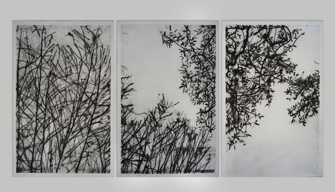 Matthieu ASTOUX- gravure triptyque noir et blanc ou noir et bleu sur commande, 260X120cm Galerie Gabel- Biot-Côte d'Azur