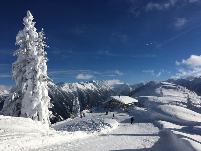 Hochwurzen Alm