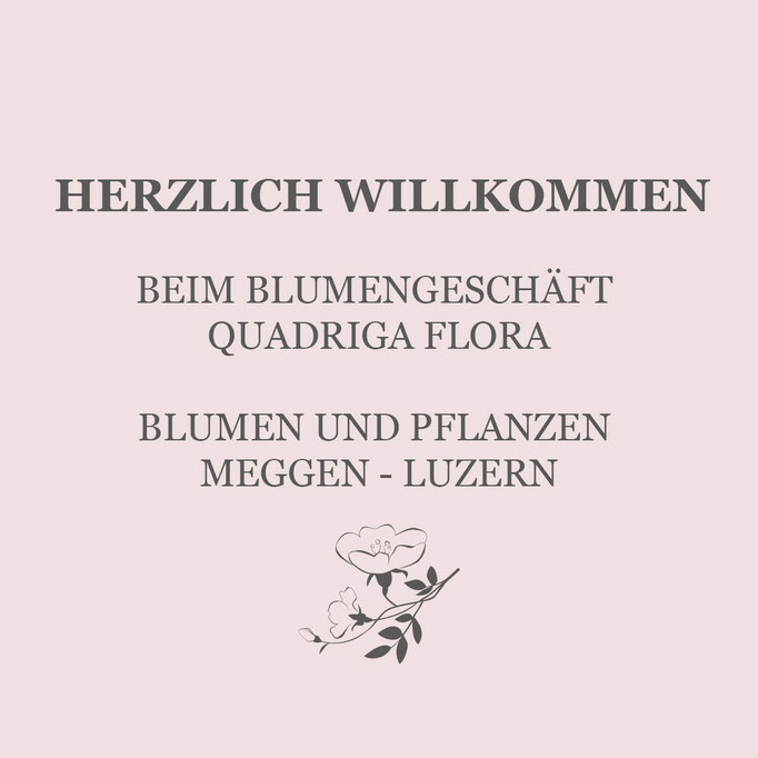 Blumengeschäft Quadriga Flora Roth in Meggen Luzern. Frische Blumen gesteckt oder locker gebunden in moderner Floristik.
