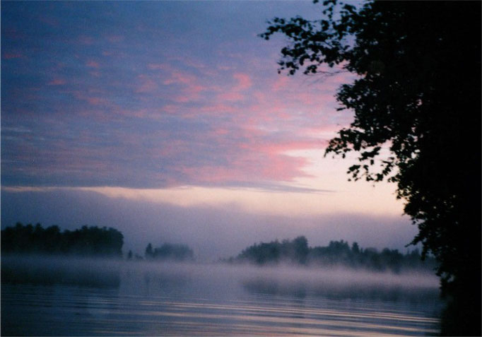 Im Spätsommer und Herbst " tanzen" die Wasserelfen auf dem ruhigen See.