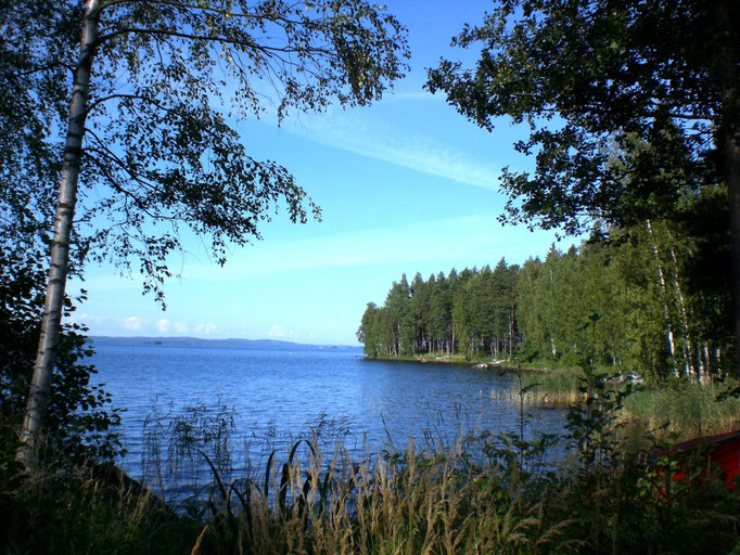 Gehen Sie am Ufer spazieren und genießen Sie den Blick in die Bucht vor dem Haus Richtung Hauptsee.