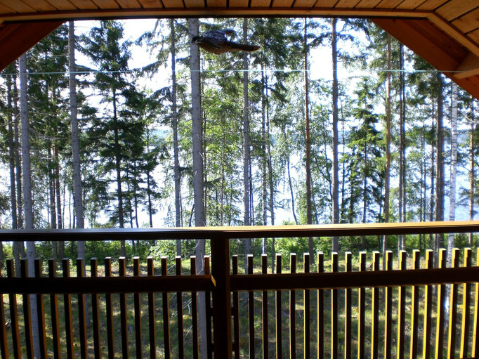 Blinzeln Sie beim Sonnenbaden auf dem Balkon ab und zu einmal, um das Glitzern und Strahlen des blauen Sees einzufangen! Unser Balkon ist auch ein akustisches Highlight.  Hier hören Sie das Rauschen des Sees besonders gut!