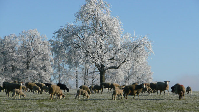 Kollegen im Winter.