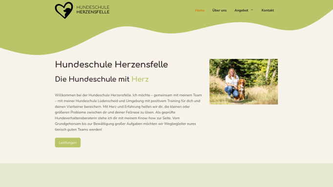 Stephan Peters Design Webdesign Webseite Internetseite