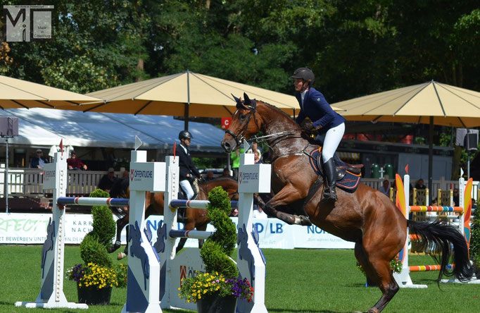 GRETA FUNKE-LIGTHART, Balouna  Reiten, Oldenburger-Landesturnier, FOTO:MiO Made in Oldenburg®, www.miofoto.de