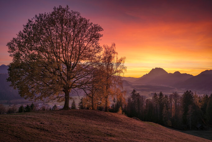 Austria-Styria