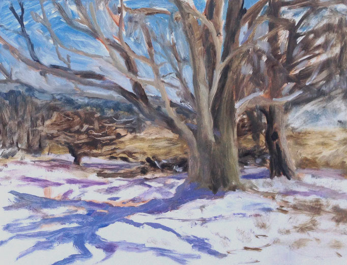 Cox Reservation tree, plein air, Oil on board, 11 x 14 in.