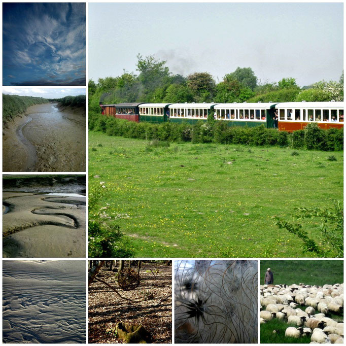 La traversée de la Baie de Somme avec votre guide