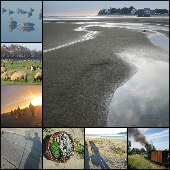 Traverser la Baie de Somme