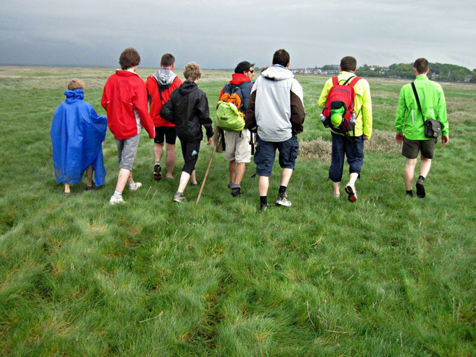 Traverser la Baie de Somme avec votre guide+ prés salé