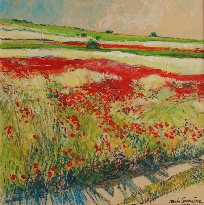 75- Minervois, coquelicots, Technique mixte (fusain, pastel, huile), sur bois médium, format 50 cm x 50 cm, prix : 450 €