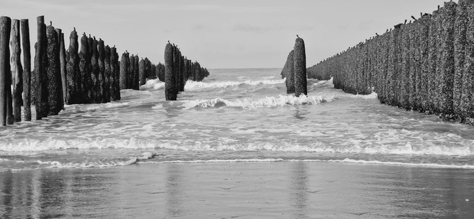 Les bouchots au sud de la plage (côté Centre Nautique)