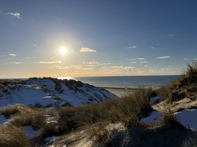 Dunes d'hiver  janvier 2024