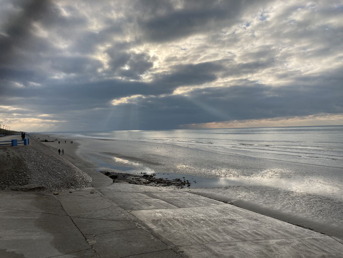 Les merveilleux gris d'hiver 