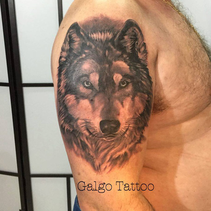 Black and Grey Portrait Tattoo of a Wolf.