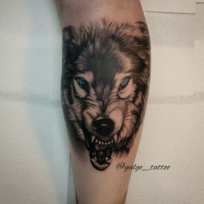 tatuaje realista de un lobo furioso en la pierna, hecho en Gran Canaria, España.