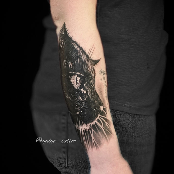 Tatuaje realista del retrato de un gato, en Gran Canaria.