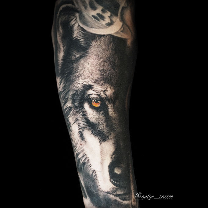 Tatuaje de estilo realista. Retrato de un lobo en el antebrazo. Totalmente curado. Hecho en Islas Canarias
