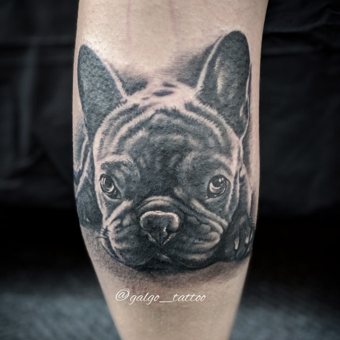 Retrato de un bulldog francés en tatuaje de realismo blanco y negro.