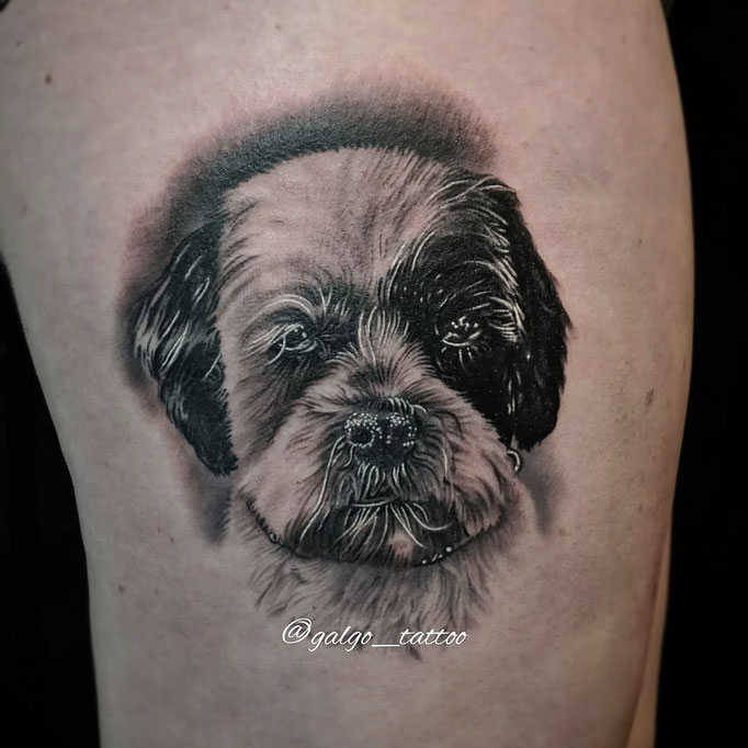 Tatuaje realista de un perro, hecho en knowmadink, Santa Brígida.