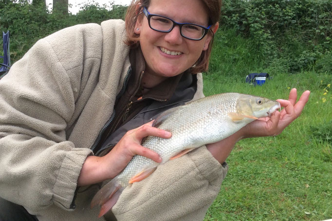 One of Ashmoor Lakes' biggest fans, Sarah, has caught this exact same 1lb 8oz barbel the past 3 weekend she has fished here. The fish is lovingly named 'One Eyed Willy' due to a damaged left eye!