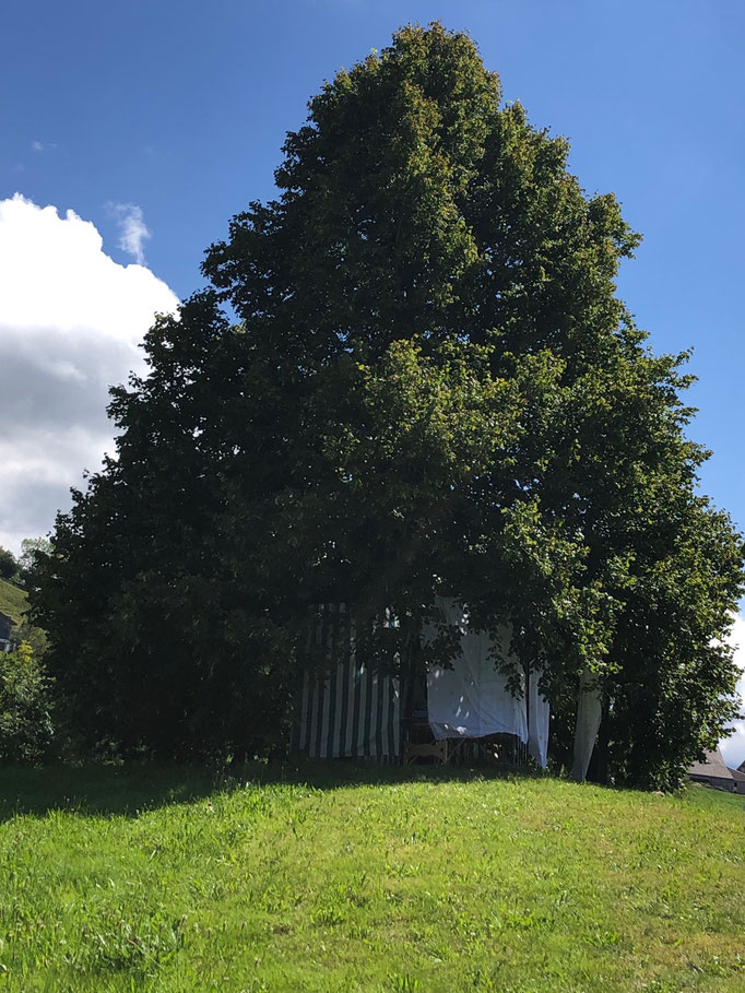 Entspannung unter der Linde