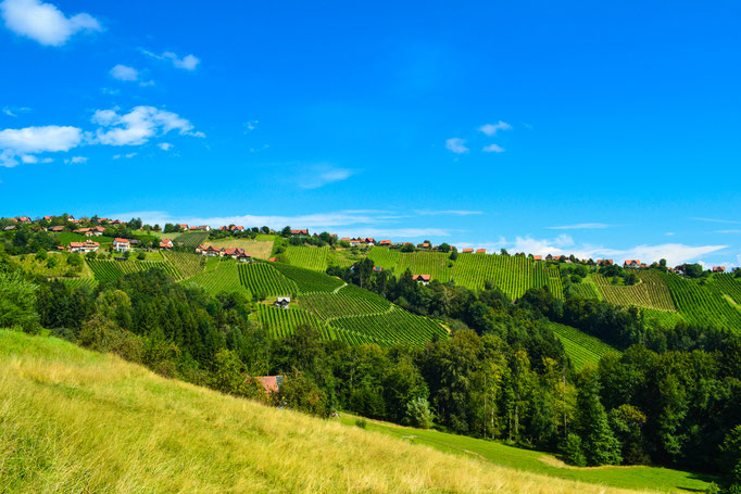Panorama Steinreib, Hochgrail, St.Stefan ob Stainz