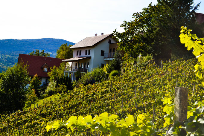 Ferienhaus / holiday home Schilcher-Residenz
