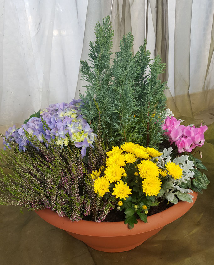 Trauerschalen - Webseite