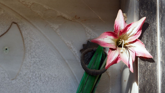 rayo de sol para flor de plástico