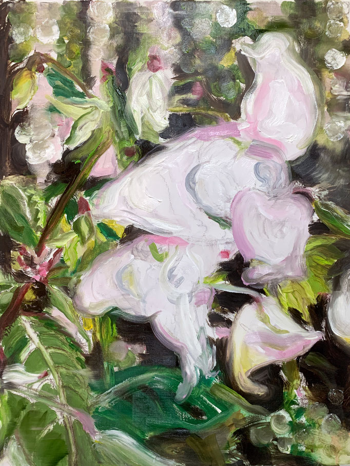 Tanja Selzer_Pink White_2024_40x30cm_Oil on Linen