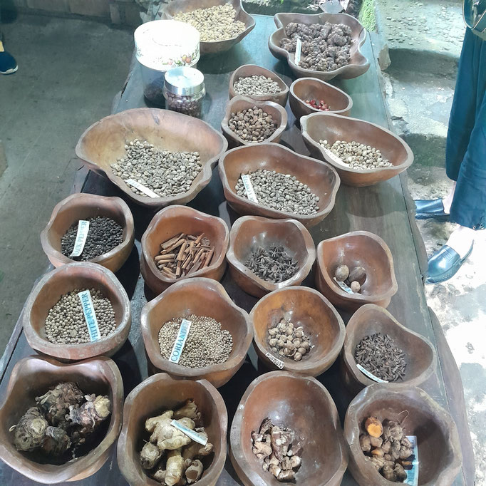 coffe plantation