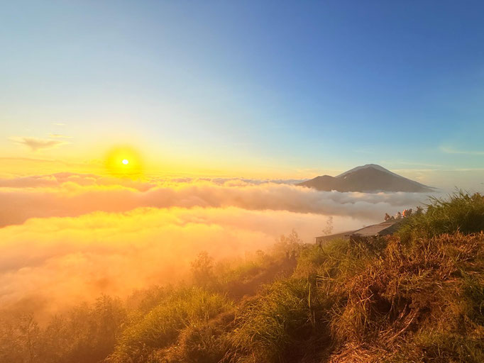 BATUR SUNRICE